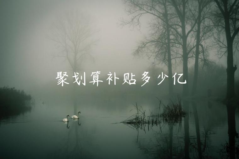 聚劃算補(bǔ)貼多少億